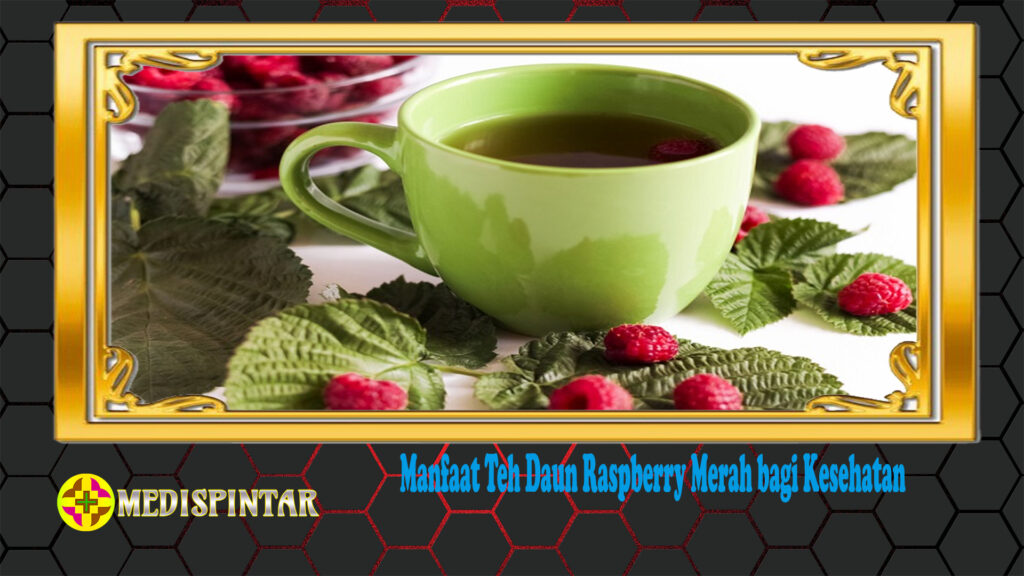 Manfaat Teh Daun Raspberry Merah bagi Kesehatan