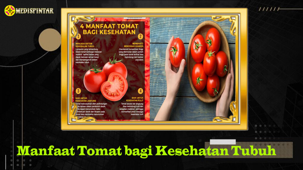 Manfaat Tomat bagi Kesehatan Tubuh